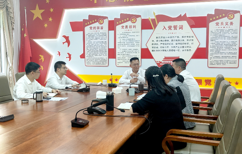 吳松江書記調(diào)研圖片.jpg