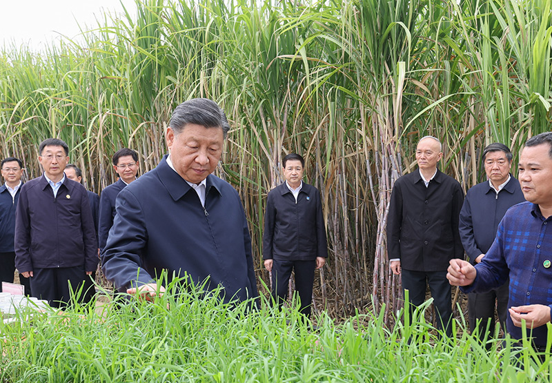 轉(zhuǎn)存圖片